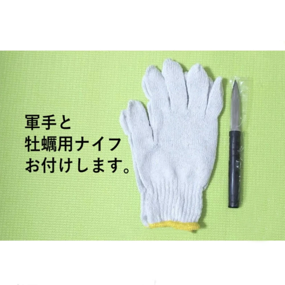 希少なLL～特大8個！ずっしり濃厚！「五島列島」岩牡蠣　(生食用)　夏限定販売