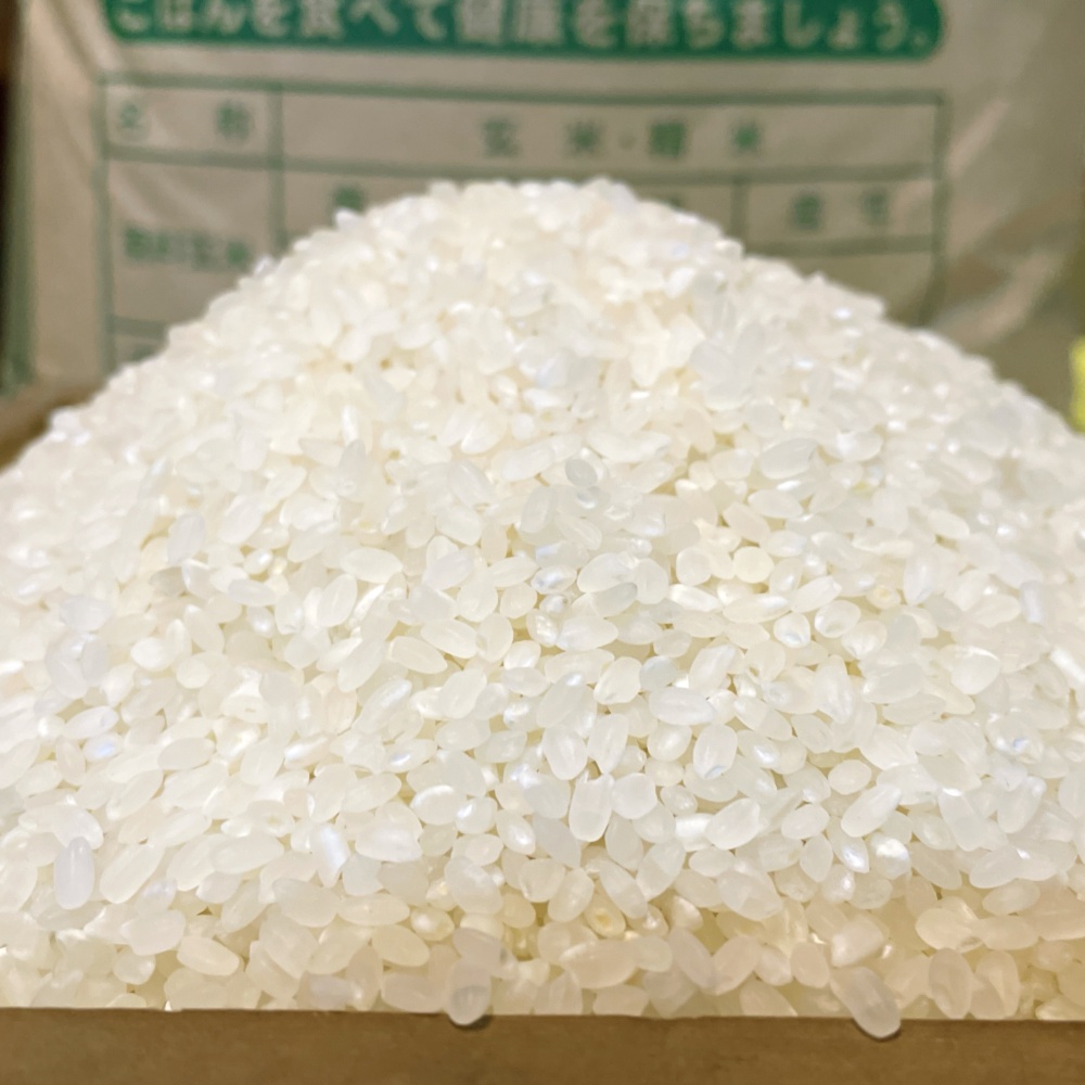 栃木県 令和7年度産 コシヒカリ 白米｜白米の商品詳細｜ポケット