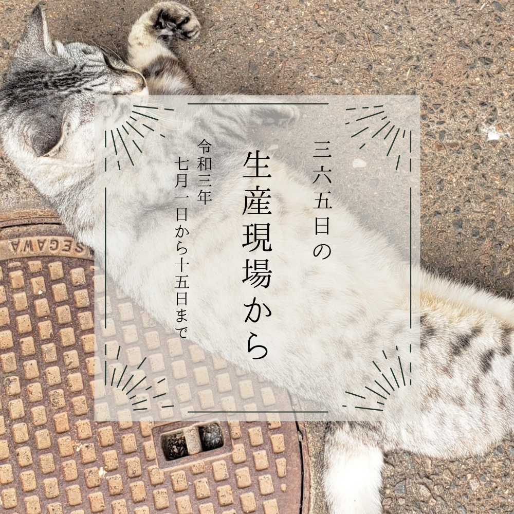 あまりの暑さに現場の猫もとろ〜ん🐈7月前半の生産現場から | 農家漁師