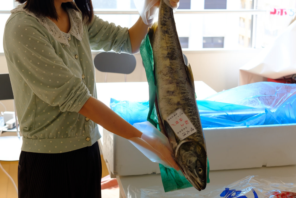 初めてでもなんとかできた北海道の秋鮭の捌き方 本物の親子丼を食べるために 農家漁師直送のポケットマルシェ