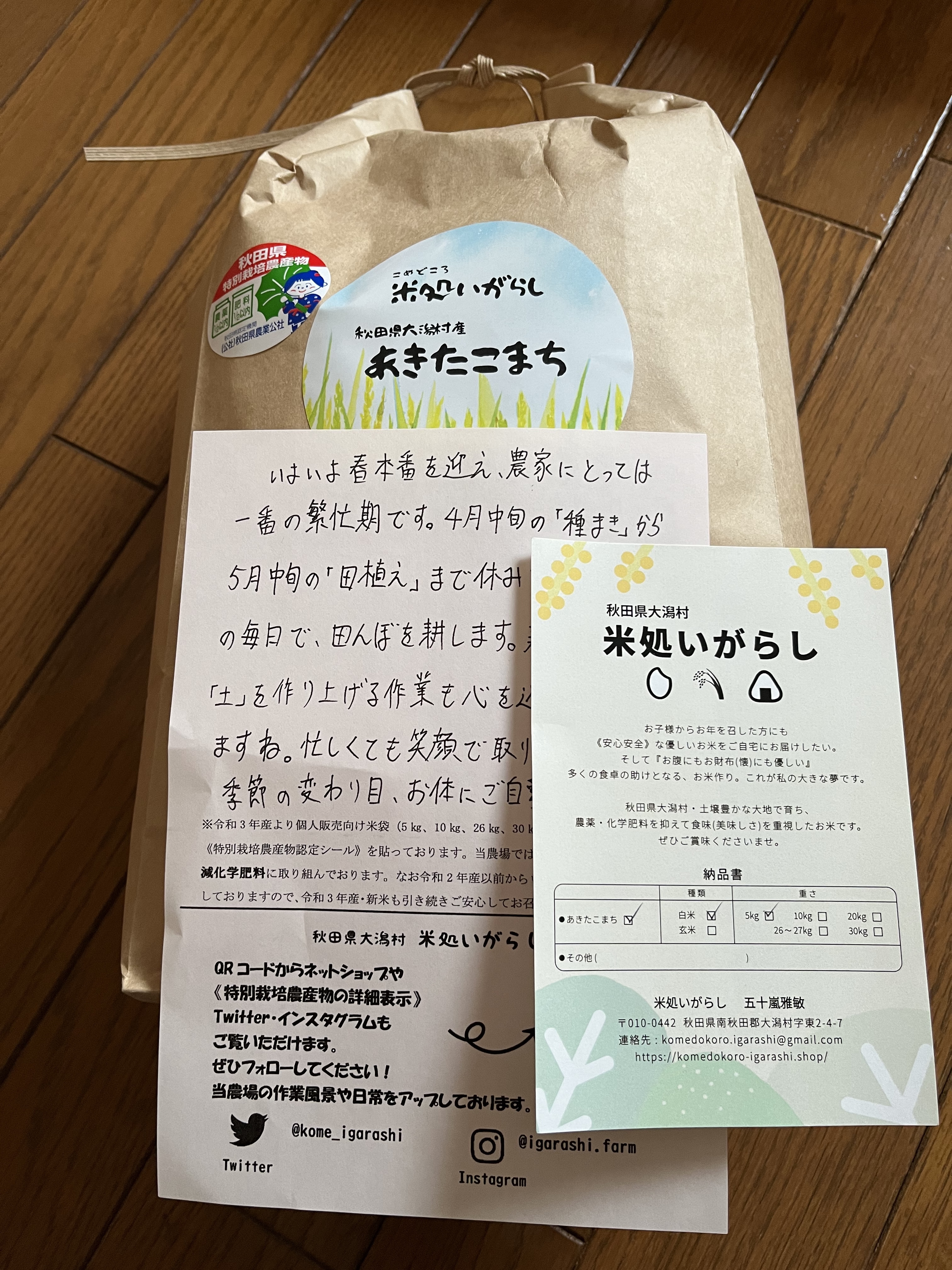 品揃え豊富で アイス梅 9粒入 紀州産 大粒 南高梅使用 岩惣 送料無料 308