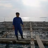 梅津 聡 | 株式会社海男