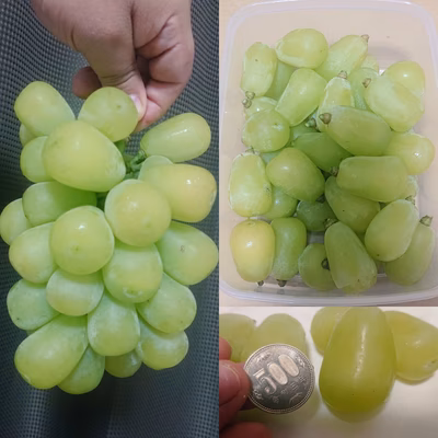 みんなの投稿の画像