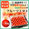 【数量限定】平均糖度8度以上！珠玉のフルーツトマト