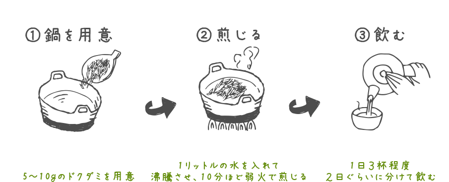 天然ドクダミ草乾燥葉茎花送料込み 農家漁師から産地直送の通販 ポケットマルシェ