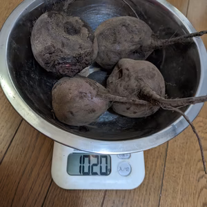 訳ありお得‼️150g以上大きめ、甘い八ヶ岳高原のビーツ（農薬・化学肥料不使用）