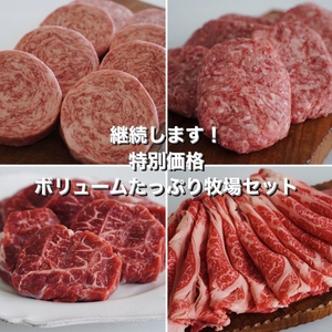 継続します！【特別価格】ボリュームたっぷり牧場セット！！