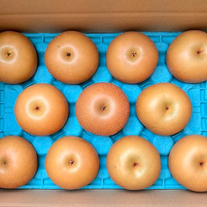 白山市産 完熟豊水梨 【優品（自宅用）】