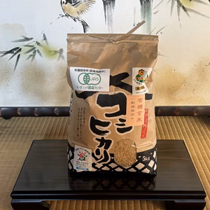 R6コシヒカリ玄米約5kg・①有機JAS転換期間中