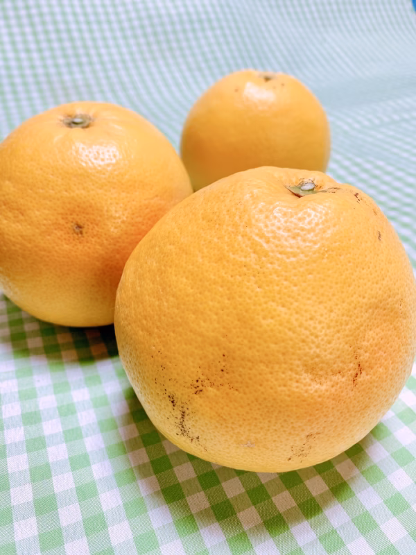 《訳あり大玉☆４玉》さわやか＊グレープフルーツ・さがんルビー