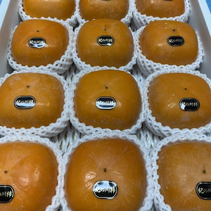 紀の川柿【秀品】数量限定