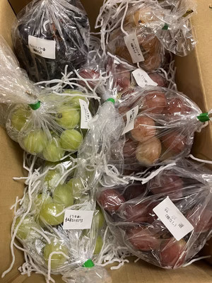 みんなの投稿の画像