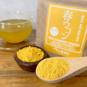 【45g】健康茶にもお料理にも！沖縄産自然栽培春ウコン粉末
