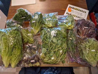 みんなの投稿の画像