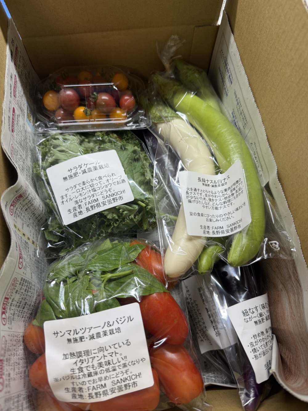 ナス推し！夏のごちそう野菜BOX 80サイズおまかせ夏野菜ミックス｜野菜