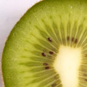 推し１新品種キウイ中玉１５果【美津みどり®香緑】【ご家庭用】みえの安心食材　