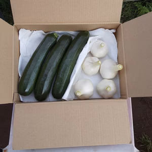 かまちゃん農園の「ズッキニー＆ニンニクのセット」❣5セット限り‼