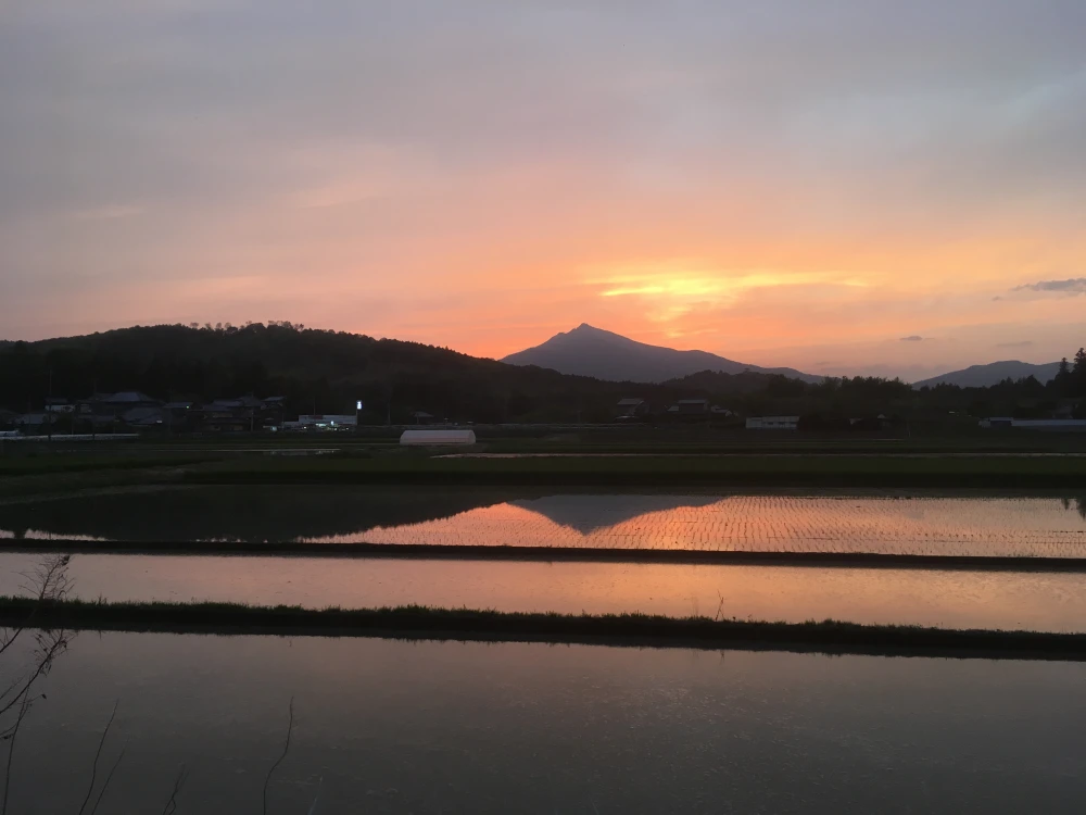 【関東圏限定・送料込み】お日さまと大地の力で育った、農家お任せ旬の野菜セット❤️