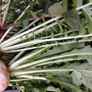 【お得です】訳あり野菜セット お試し！農薬・化学肥料・厩肥不使用