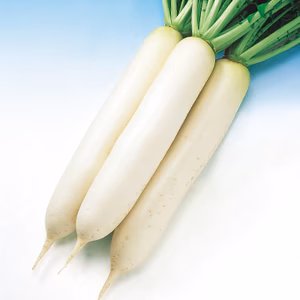 おでん大根（マルチ栽培・極甘仕上げ）