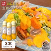 糸島そだちのにんじん 生ドレッシング 285ml×3本セット【農香美人】