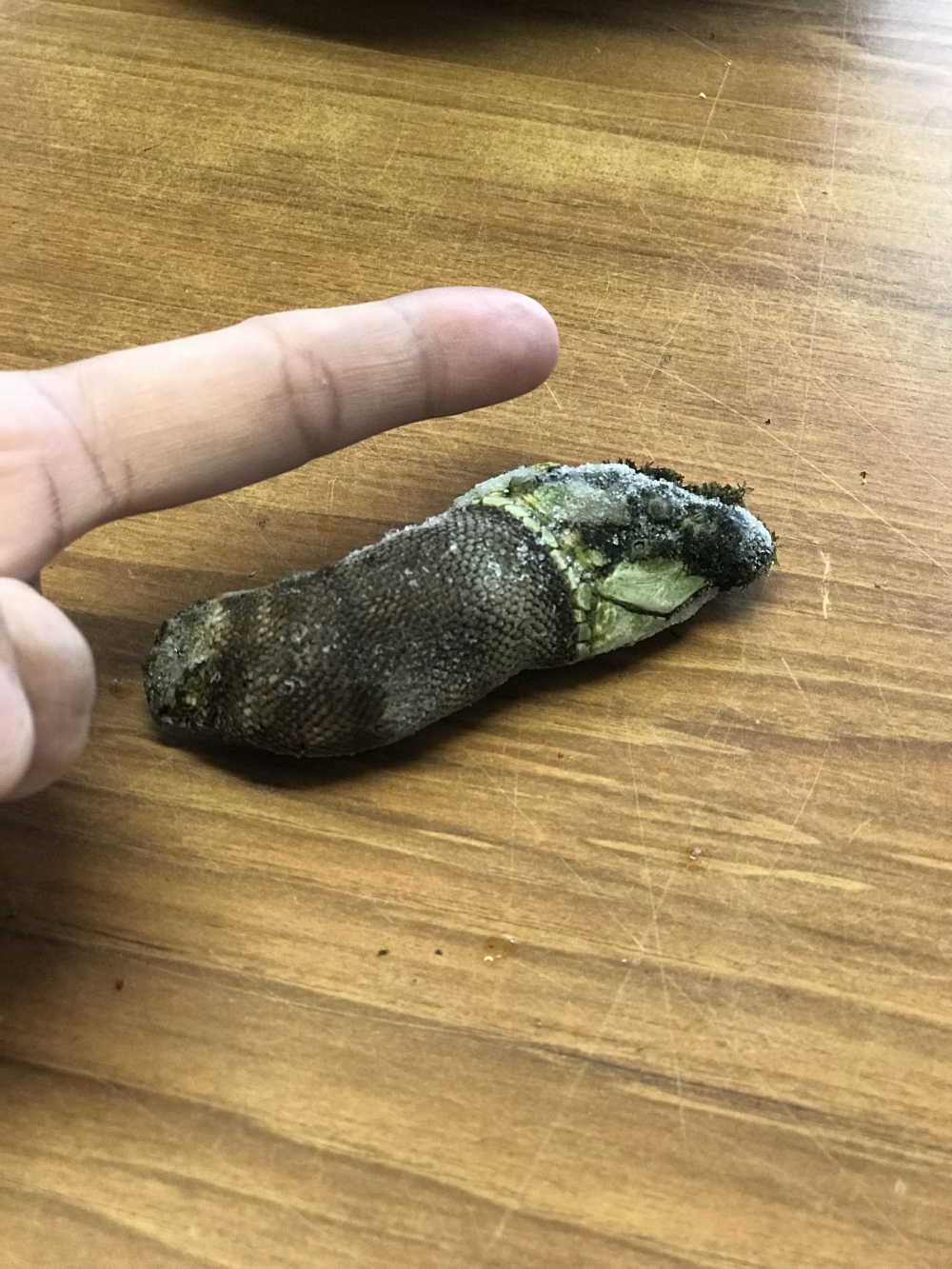 指 トゲ 埋まっ てる 指などに刺さった トゲ を放置するとどうなるの 16年4月3日 整体院 みどり健康館のブログ ホットペッパービューティー