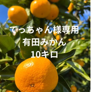 有田みかん 早生 10キロ 2SからL