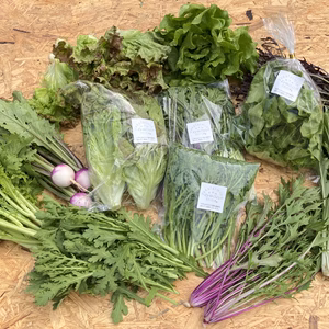 旬のすこやか野菜セット