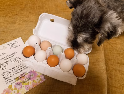 みんなの投稿の画像