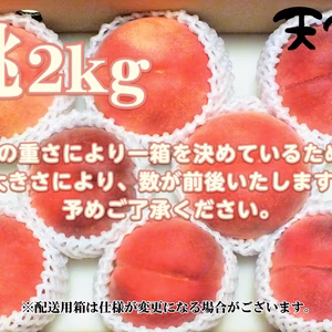 かたい桃(おどろき)の3kg(9-12玉)と2kg(6-8玉)１箱・笛吹八代町産
