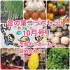 【茨城の魅力を詰め込み】言の葉詰め合わせセット！10月号！
