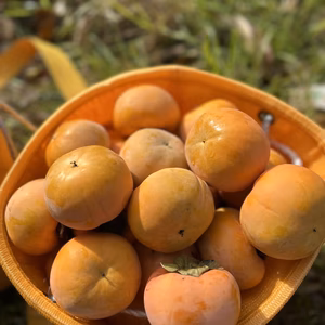 お正月にどうぞ 2Lサイズ 多少のキズあり １2個入り
