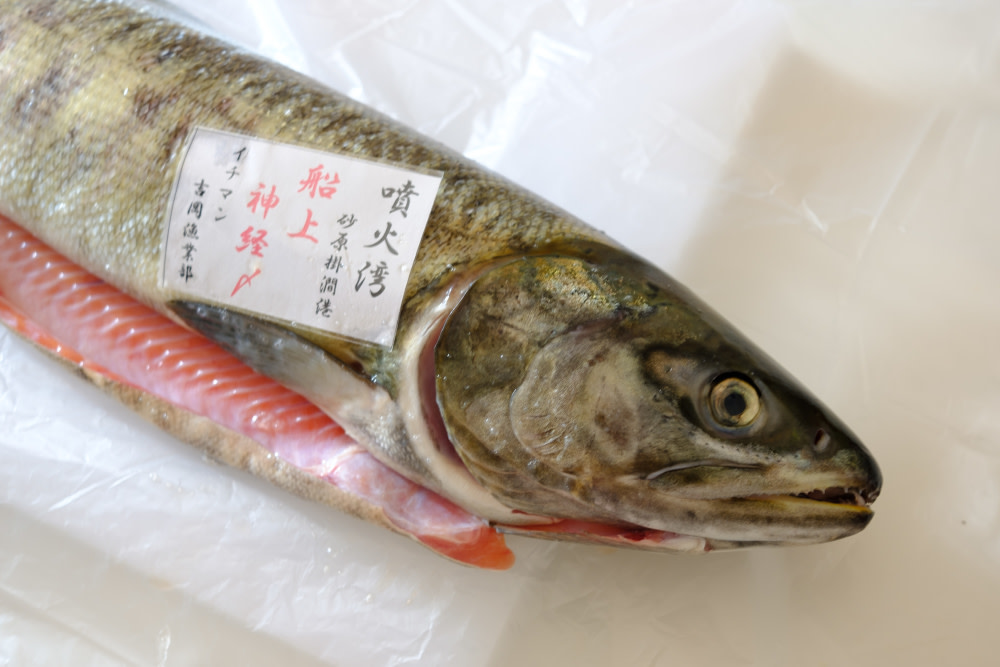 初めてでもなんとかできた北海道の秋鮭の捌き方 本物の親子丼を食べるために 農家漁師から産地直送の通販 ポケットマルシェ