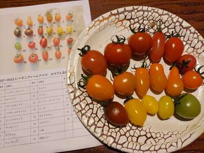 みんなの投稿の画像