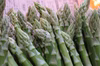 【8月順次発送】那須野が原産 朝採り色白なふぞろいなアスパラガスたち