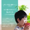 青森県産「大人気」蜜入りプレミアム葉とらずさんふじ自然味３kg糖度13%以上
