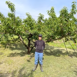 杉井宏次 | すぎい農園