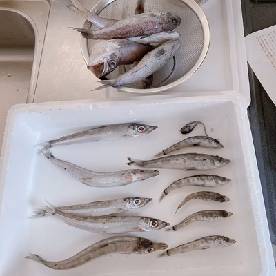 みんなの投稿の画像