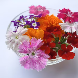 エディブルフラワー ミックスパック