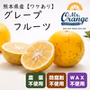 【農薬不使用・ワケあり】希少！国産グレープフルーツ（ホワイト種）