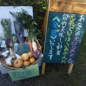 旬のおまかせ野菜セット