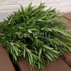 【摘みたてお届け】ローズマリー☆摘みたてを肉や魚の風味付けに！