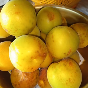黄熟梅　訳あり ジャム用 肥料農薬不使用　
