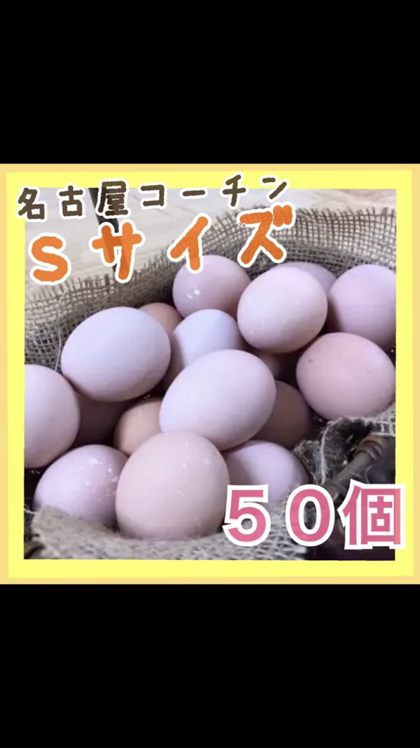 名古屋コーチン　50個　卵