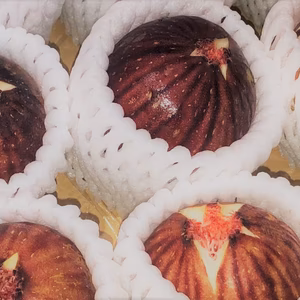 今年も販売☆イチジク１Kg☆寒さを乗り越え甘ぁーい！わらまきイチジク