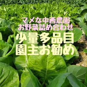 マメな中西農園の季節の京野菜詰め合わせセット。農カード付き