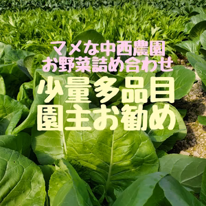 マメな中西農園の季節の京野菜詰め合わせセット。農カード付き