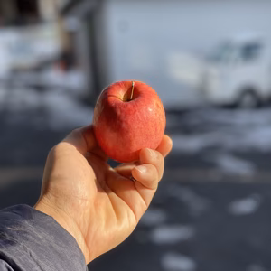 【希少】スリムレッド