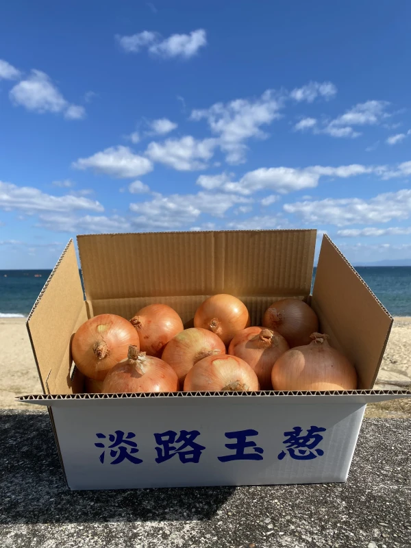 淡路島玉ねぎ5kg！《歩玉》 即日出荷致します♪｜野菜の商品詳細