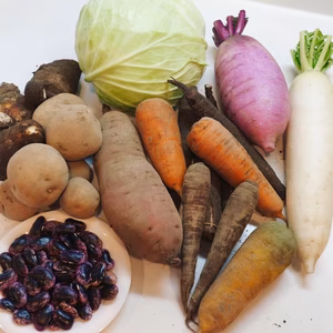 旬☆彩　元気★野菜セット～農薬/化学肥料・不使用